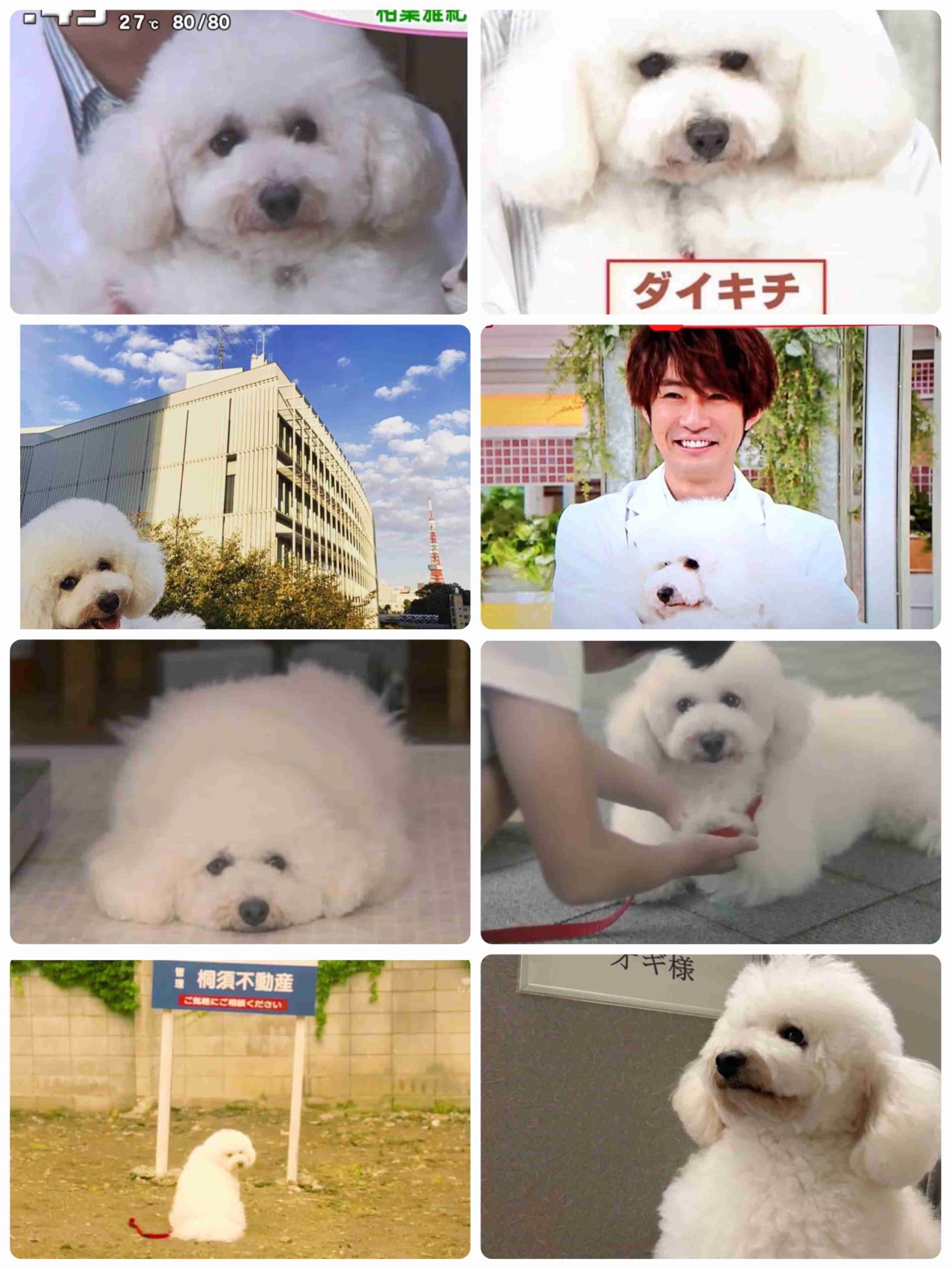 【実況、感想】僕とシッポと神楽坂 ＃01