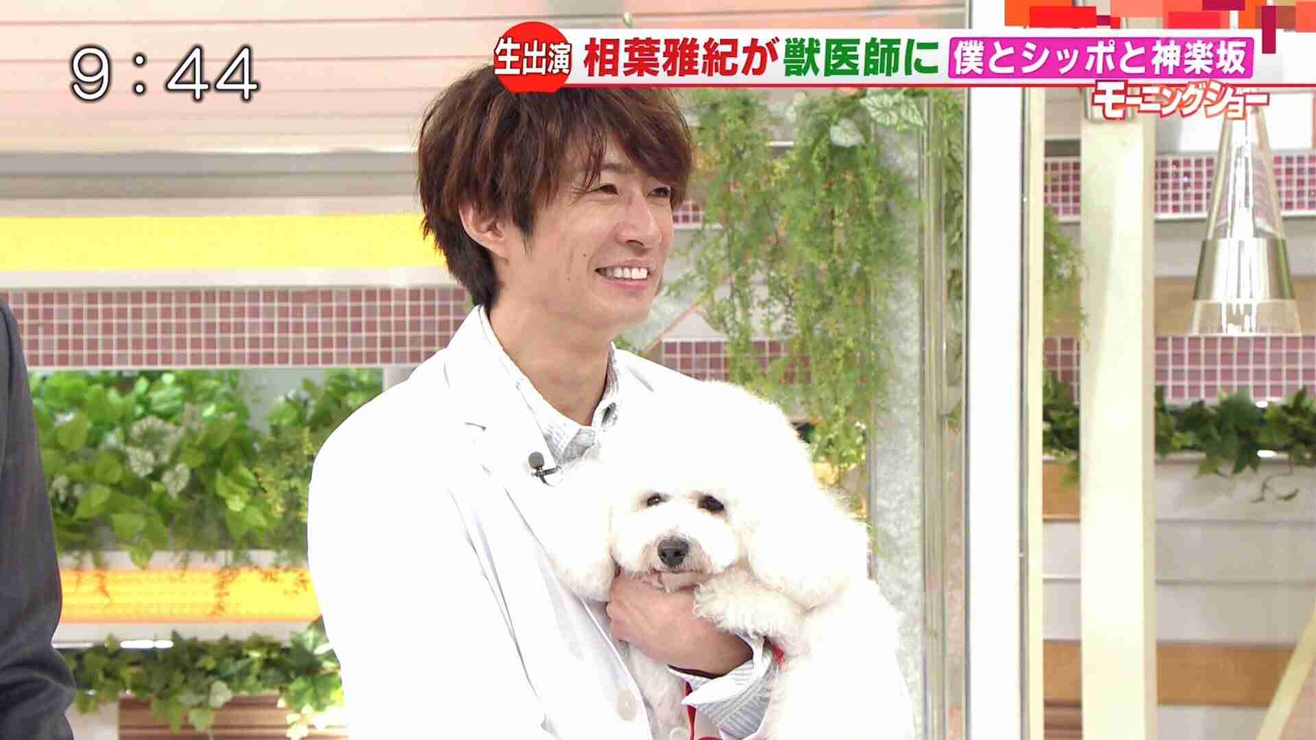 【実況、感想】僕とシッポと神楽坂 #01