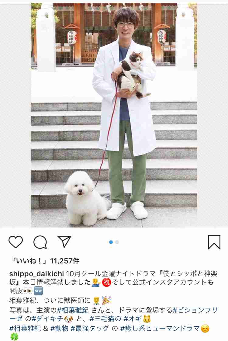 【実況、感想】僕とシッポと神楽坂 #01