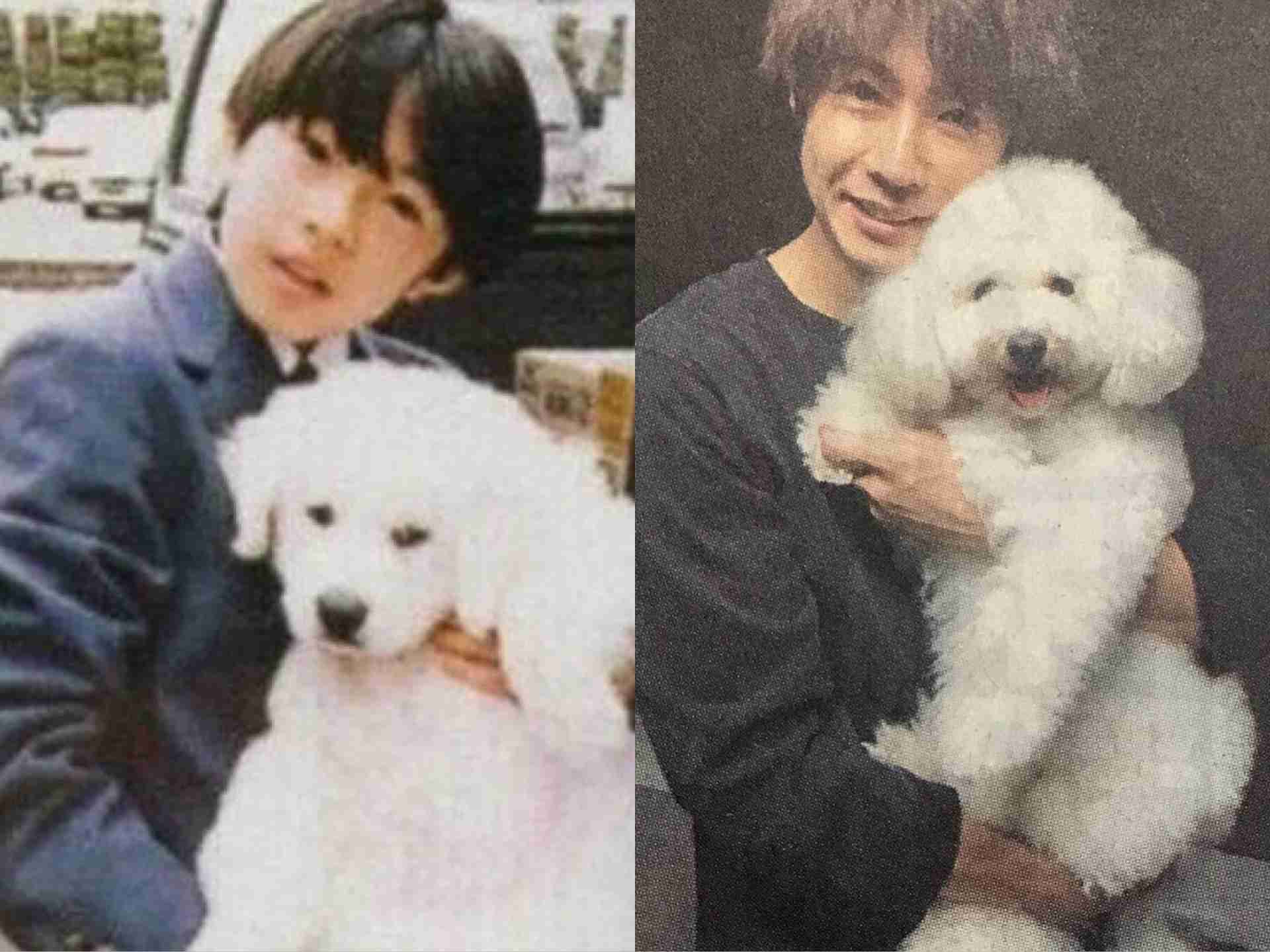 【実況、感想】僕とシッポと神楽坂 #01