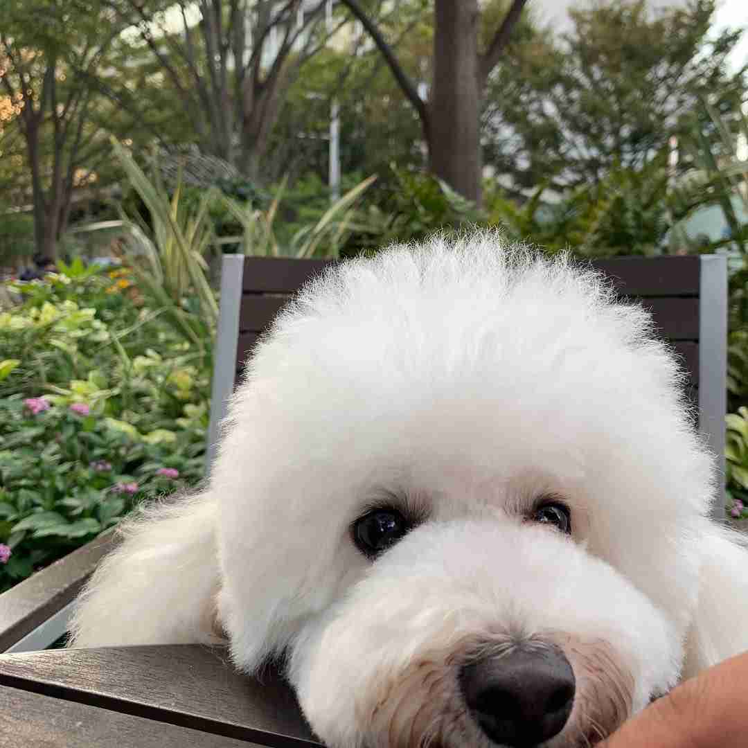 【実況、感想】僕とシッポと神楽坂 ＃01