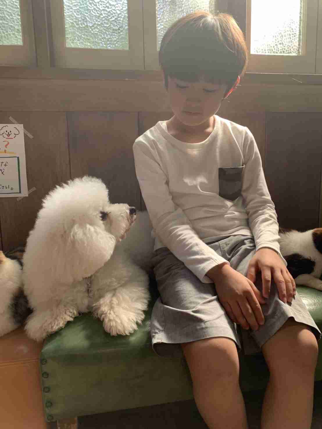 【実況、感想】僕とシッポと神楽坂 #01