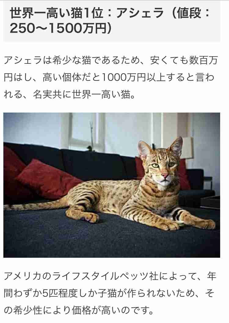 金銭感覚、高いと感じたらプラス