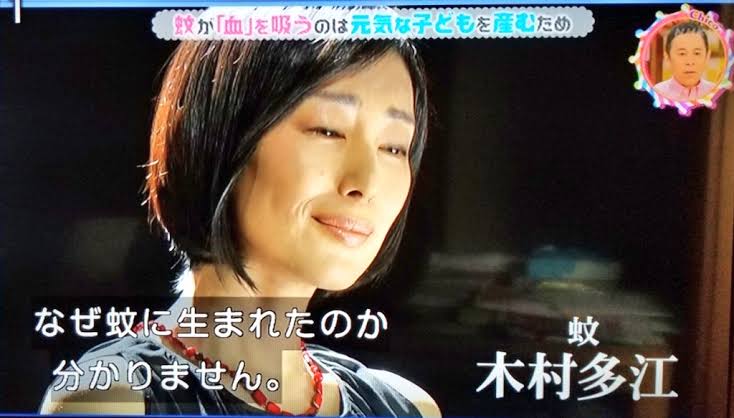 チコちゃんに叱られるを見てる人