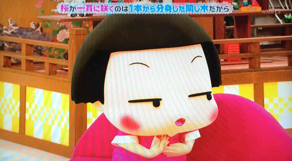 チコちゃんに叱られるを見てる人