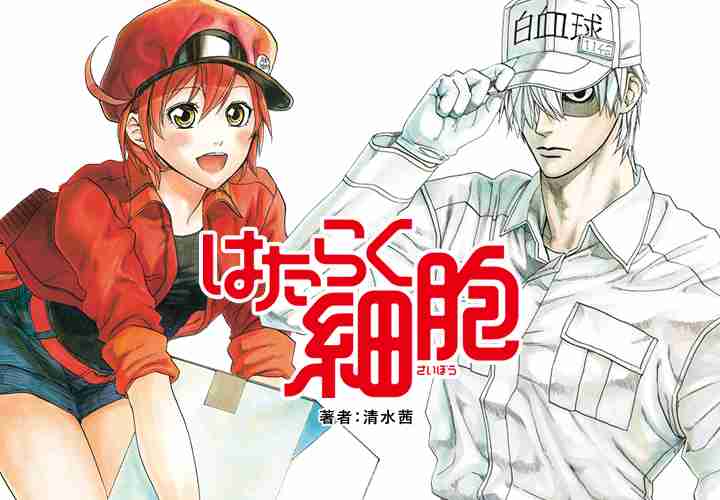 タイトルロゴ一部だけ貼って作品名を当てるトピ