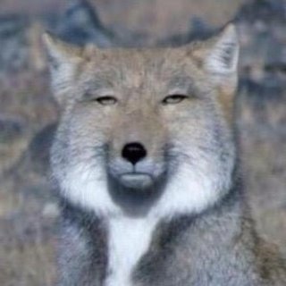 【実況・感想】「中学聖日記」 第４話