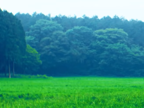 貼られたPV画像の曲名が分かったらプラス