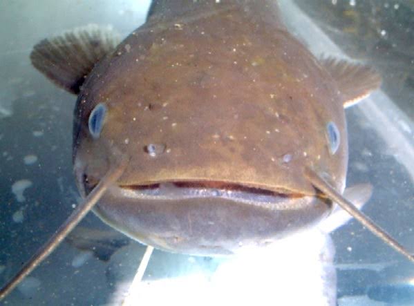 SUの不倫相手による元妻・大塚愛への煽りっぷりが異常と言われている件 / 美人モデル江夏詩織のインスタグラムがヤバイ