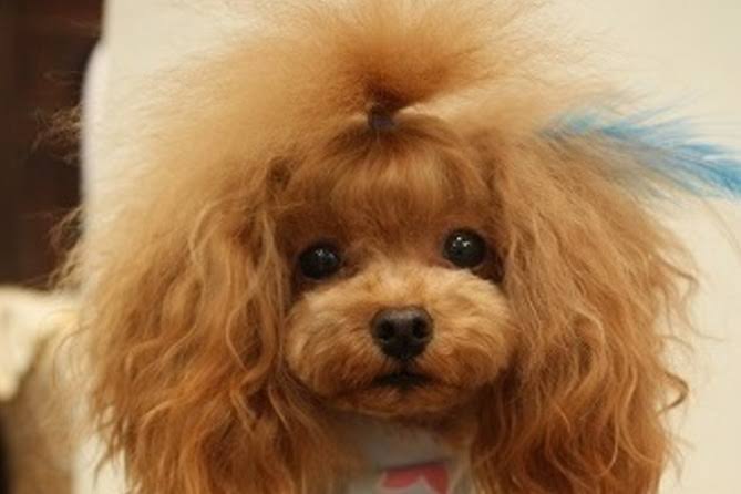 いろんなまとめ髪が見たいです。