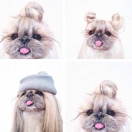 いろんなまとめ髪が見たいです。