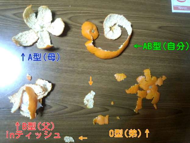 O型の集い