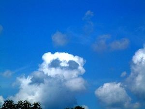 嘘みたいな画像を貼るトピ