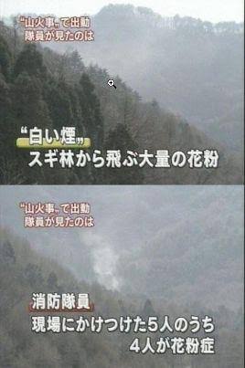 嘘みたいな画像を貼るトピ
