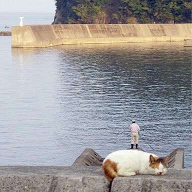 嘘みたいな画像を貼るトピ