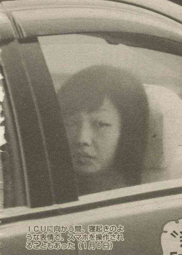 嘘みたいな画像を貼るトピ