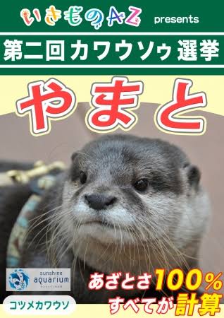 【ネタOK】色んな選挙ポスターがみたい【楽しく】