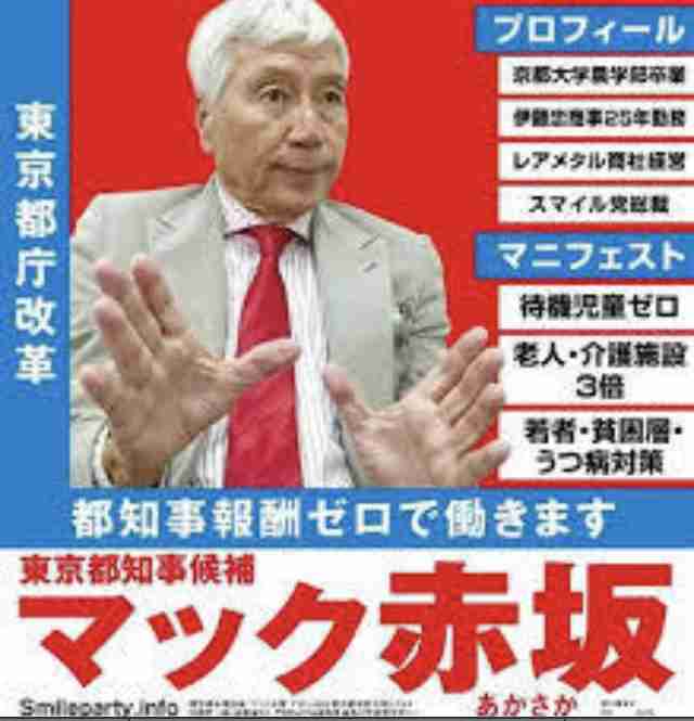【ネタOK】色んな選挙ポスターがみたい【楽しく】