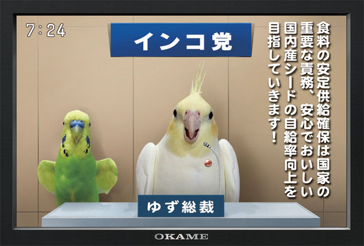 【ネタOK】色んな選挙ポスターがみたい【楽しく】