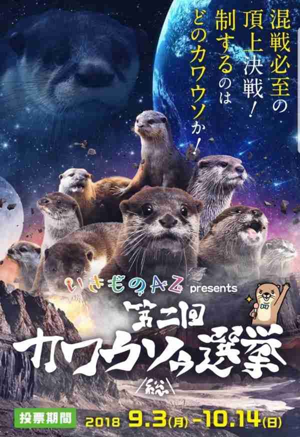 【ネタOK】色んな選挙ポスターがみたい【楽しく】
