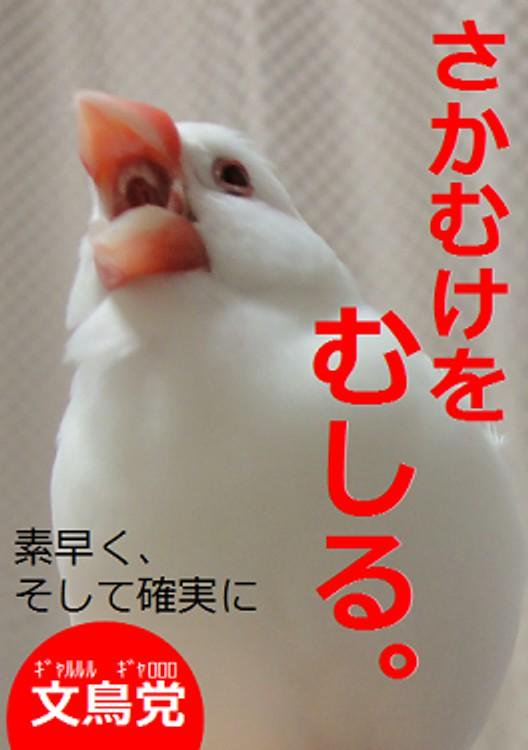 【ネタOK】色んな選挙ポスターがみたい【楽しく】