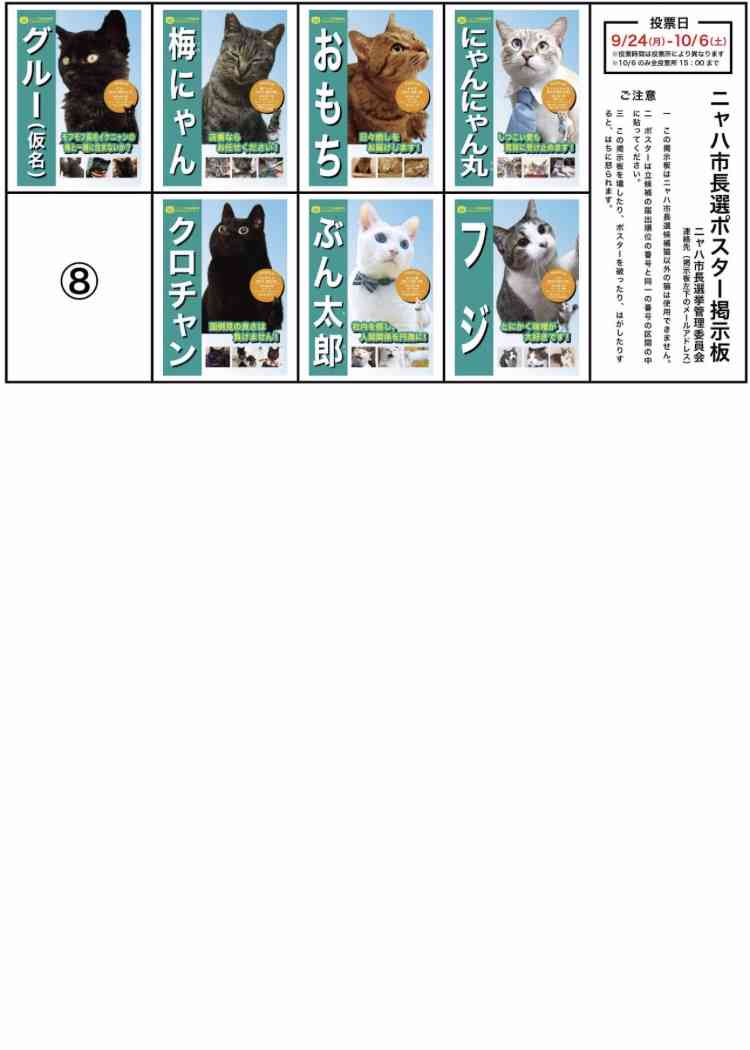 【ネタOK】色んな選挙ポスターがみたい【楽しく】