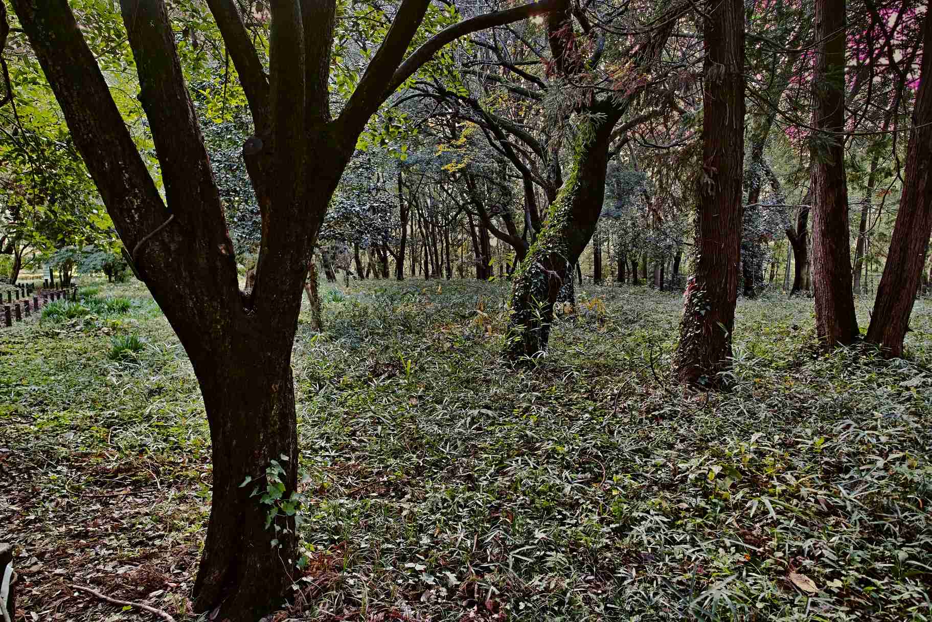 自分の住んでいる都道府県の画像を貼ってわかったらプラスを押すトピ