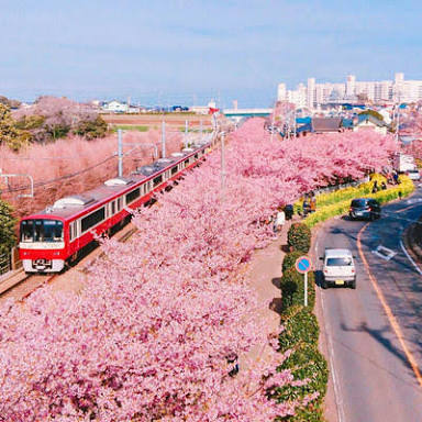 自分の住んでいる都道府県の画像を貼ってわかったらプラスを押すトピ