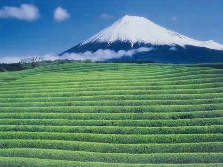 自分の住んでいる都道府県の画像を貼ってわかったらプラスを押すトピ