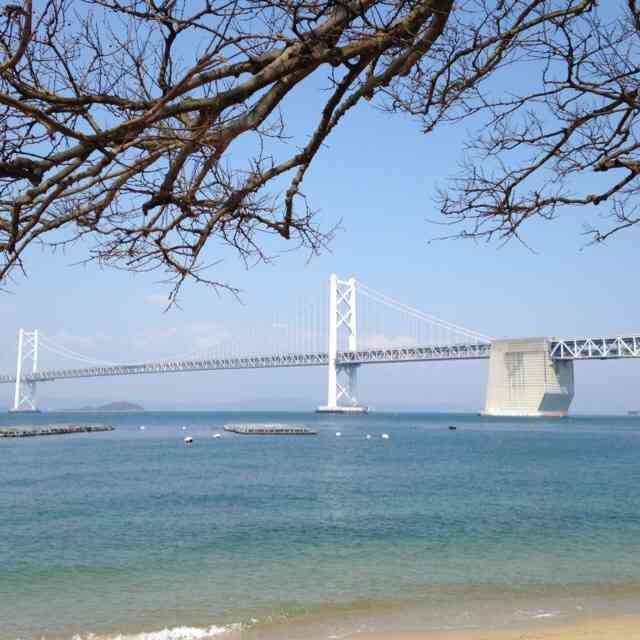自分の住んでいる都道府県の画像を貼ってわかったらプラスを押すトピ