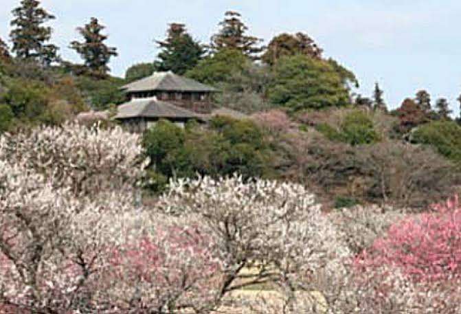 自分の住んでいる都道府県の画像を貼ってわかったらプラスを押すトピ