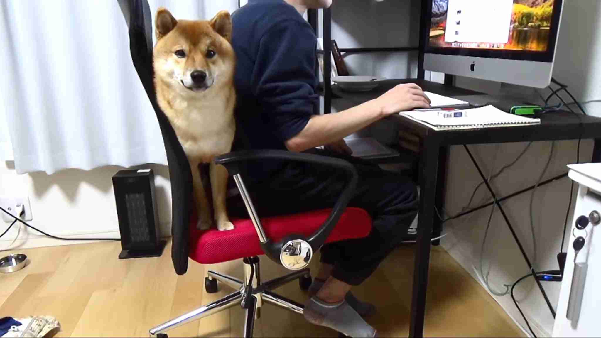 自分で仕事量を調整できる職業