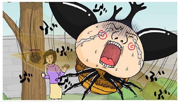 顔が似てると言われたことがあるアニメ、マンガのキャラクター