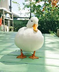 飼ってみたい動物はなんですか?