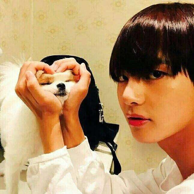 イケメンの条件 ガールズちゃんねる Girls Channel