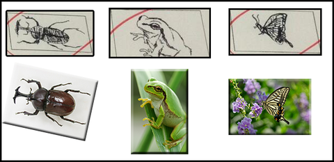 芸能人が描いた絵を載せるトピ♪