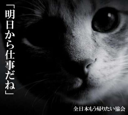 日曜なのに悲しい人集合！