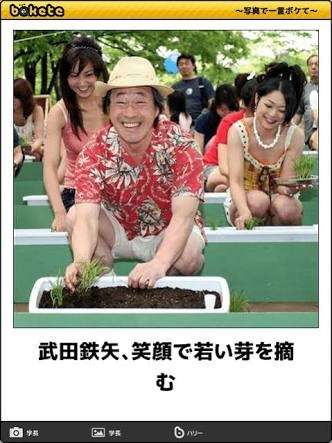 白髪抜いてしまう人