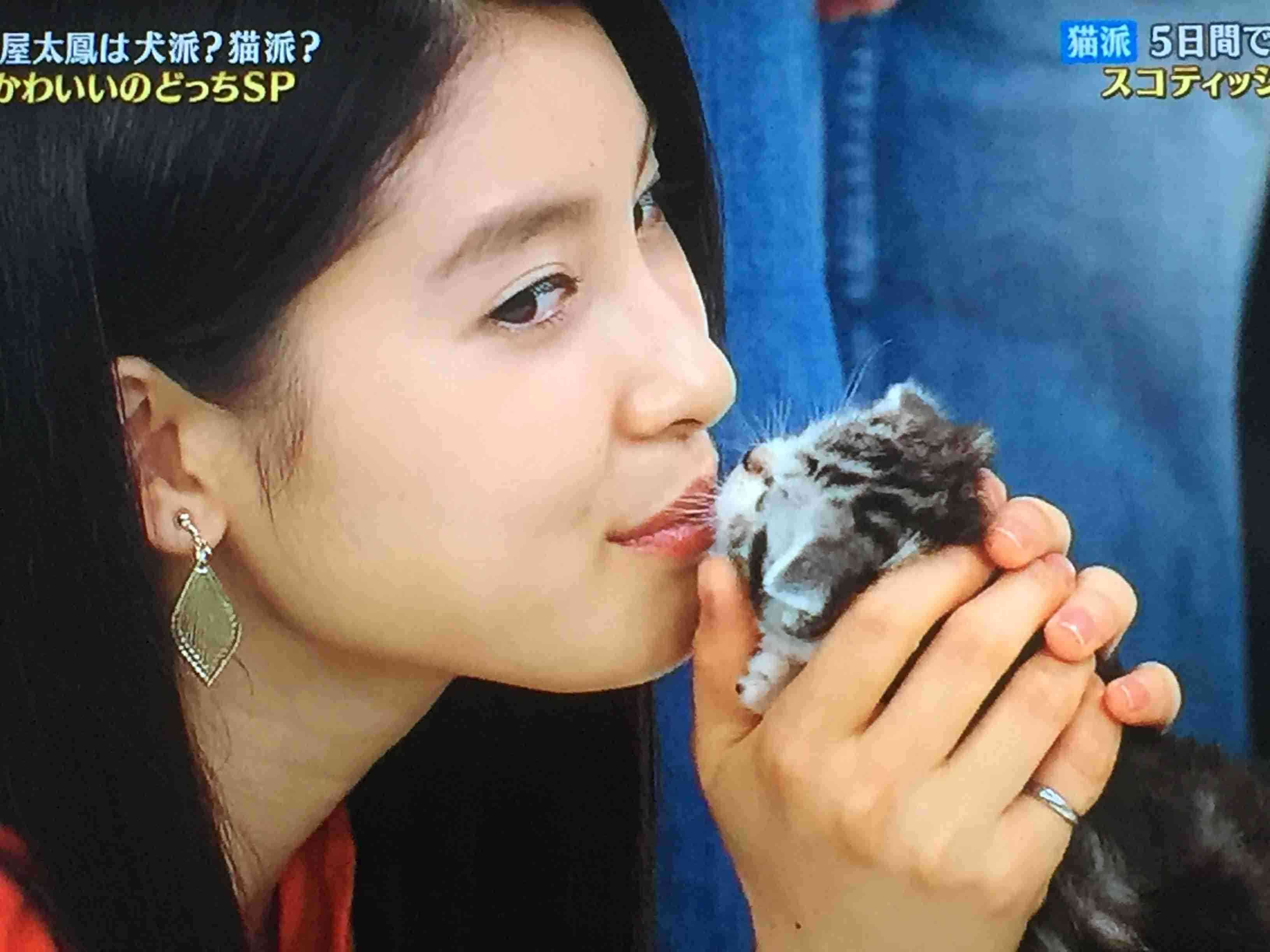 気が強そうな顔写真を貼るトピ