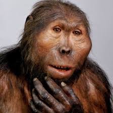 気が強そうな顔写真を貼るトピ