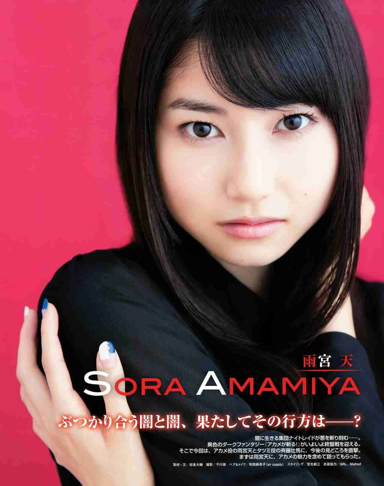 気が強そうな顔写真を貼るトピ