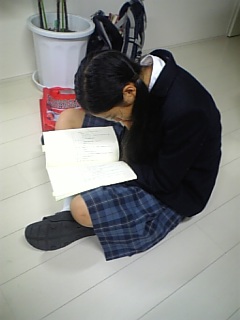 気が強そうな顔写真を貼るトピ