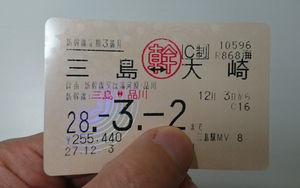 新幹線通勤してる人