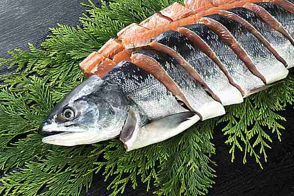 🐡よく買う魚は何ですか？🐟
