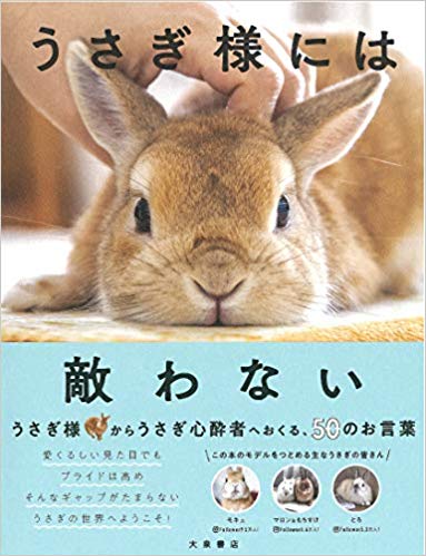 うさぎのいいところ