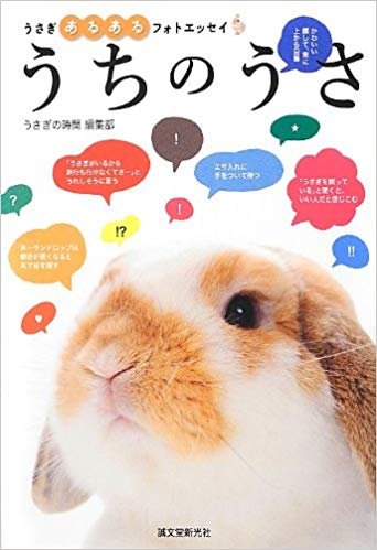うさぎのいいところ