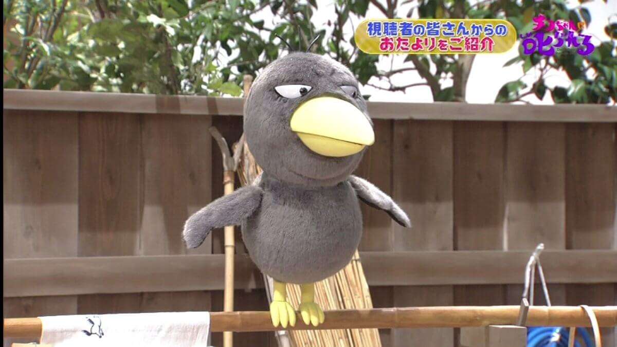 「チコちゃんに叱られる!」年末拡大スペシャルが12月21日に放送