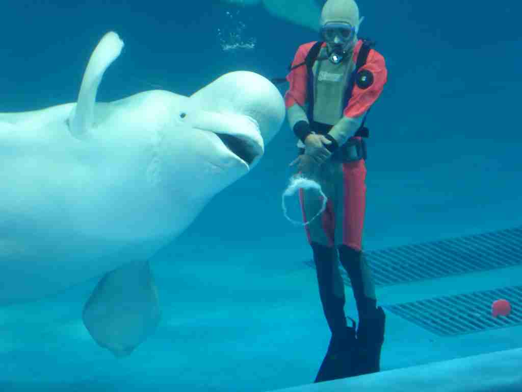 動物園・水族館あるある