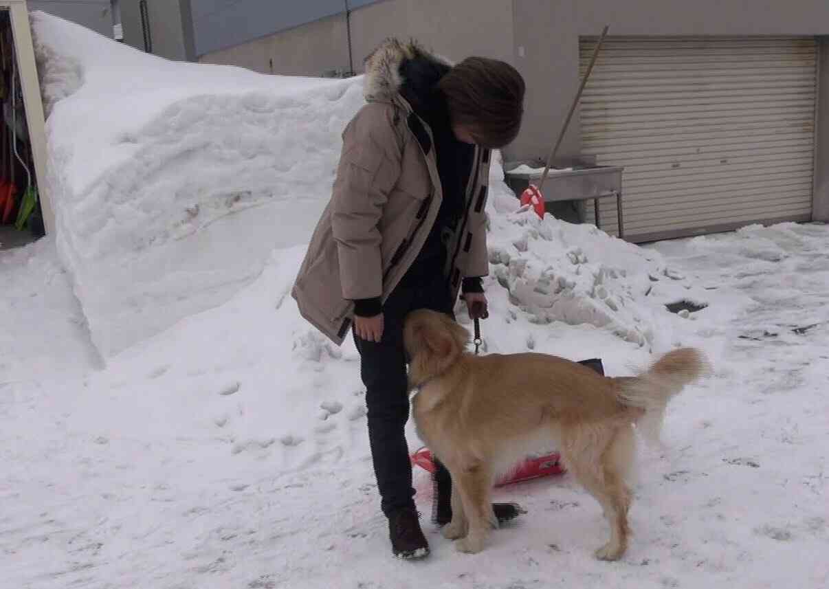 『黄昏流星群』中山美穂と藤井流星のラブシーンに「キモい」と嫌悪感
