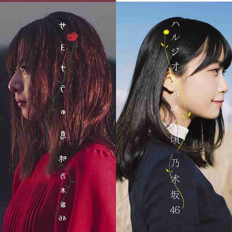 横顔が綺麗な芸能人